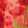 Предпросмотр схемы вышивки «тюльпаны» (№82285)