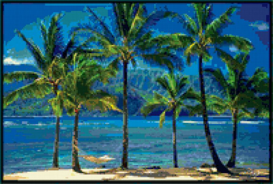 пальмы - море, пальмы - предпросмотр