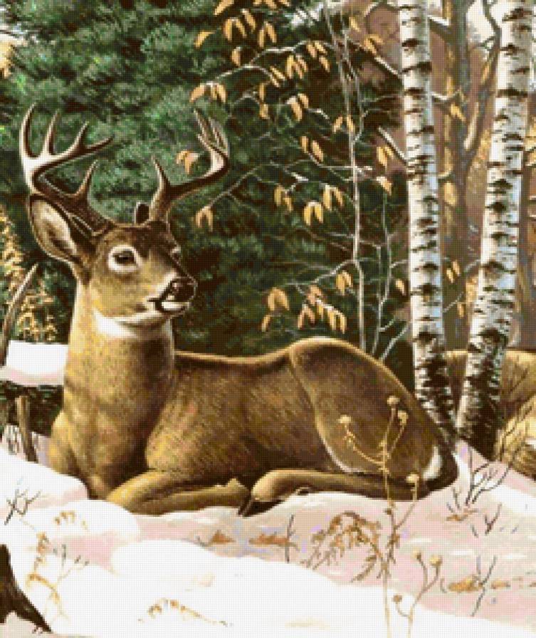 олень  2 - предпросмотр