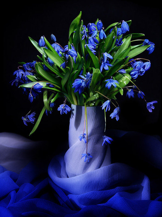 Подснежники - цветы - оригинал