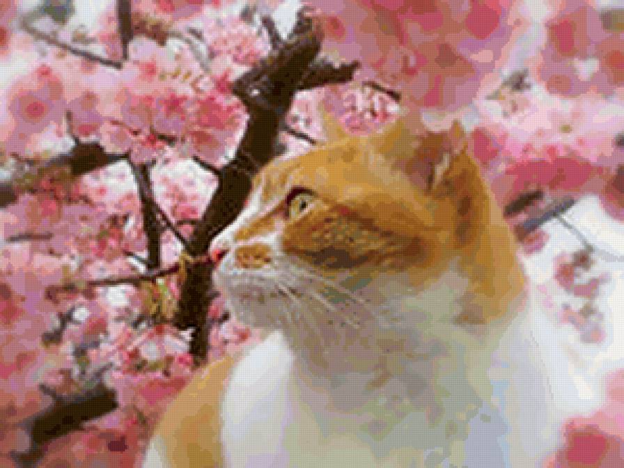кот в цветах - цветы, кот, кошка - предпросмотр