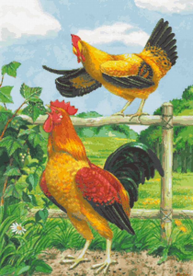 Петушок и курочка - картина, птицы - предпросмотр