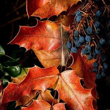 Радует глаз