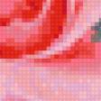 Предпросмотр схемы вышивки «Роза на сером фоне» (№82619)