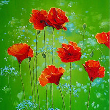 Схема вышивки «маки»