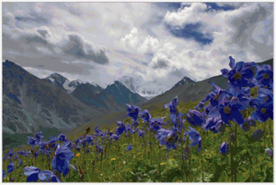 №82797 - предпросмотр