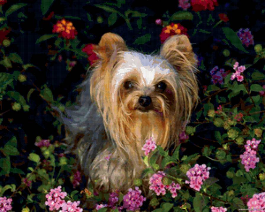 №82906 - предпросмотр