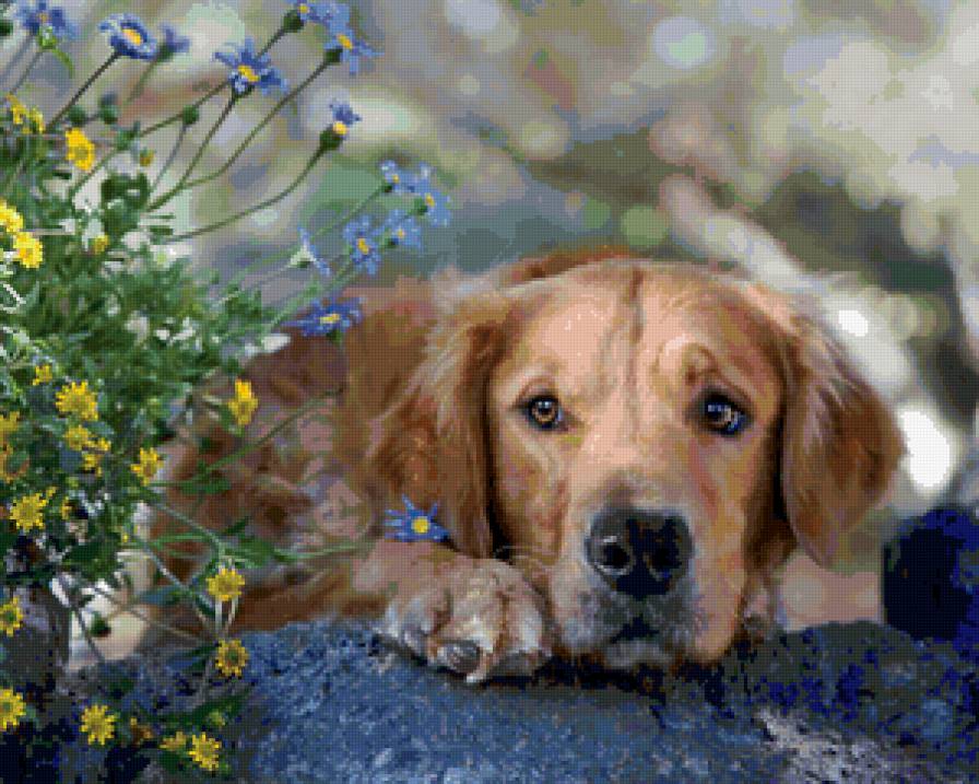 №82916 - предпросмотр