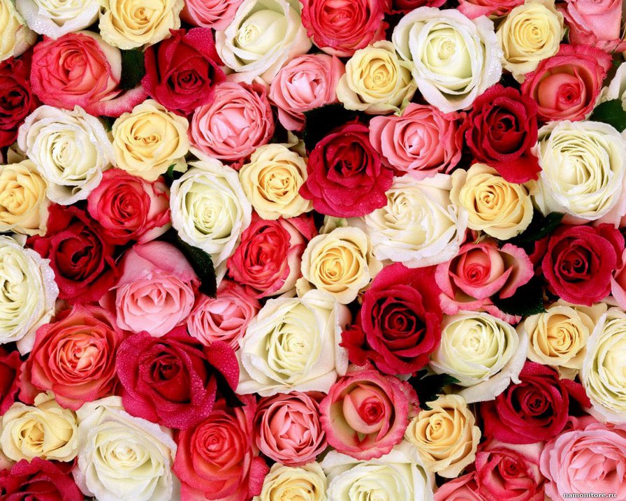 №82919 - оригинал