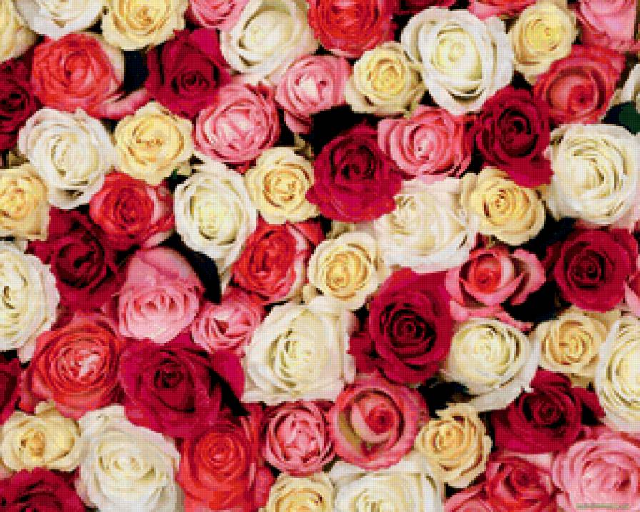 №82919 - предпросмотр