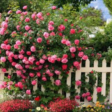 Схема вышивки «№82925»