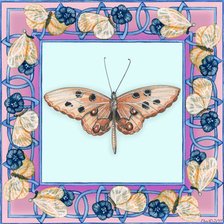 Оригинал схемы вышивки «бабочка в рамке» (№82964)