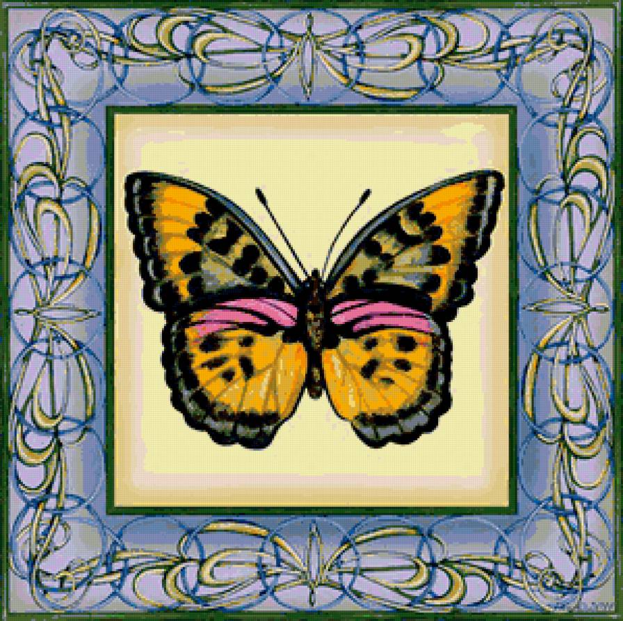бабочка в рамке 3 - подушка, бабочка, насекомые - предпросмотр