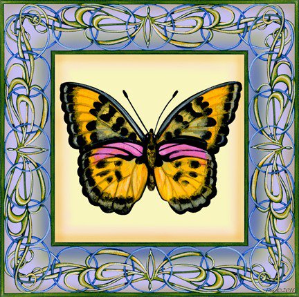бабочка в рамке 3 - бабочка, насекомые, подушка - оригинал