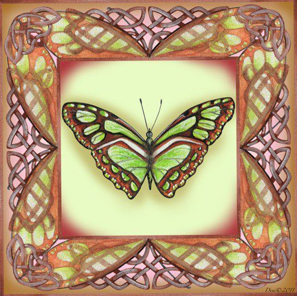 бабочка в рамке 4 - бабочка, подушка, насекомые - оригинал