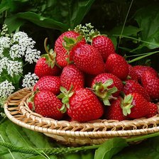 клубника на тарелке