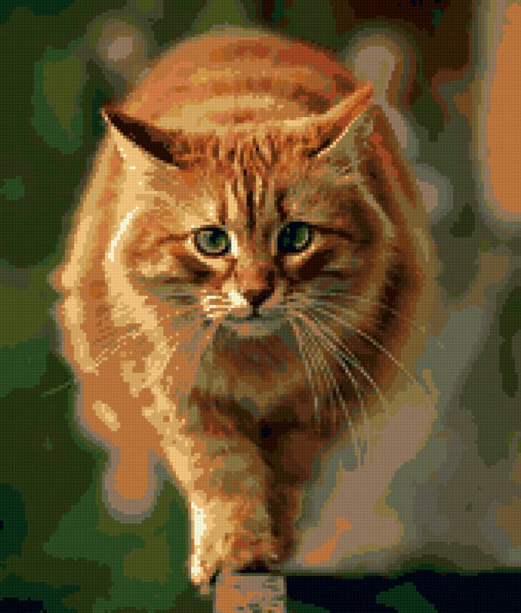 Тёплый рыжий - котэ, кот, коты, рыжий - предпросмотр