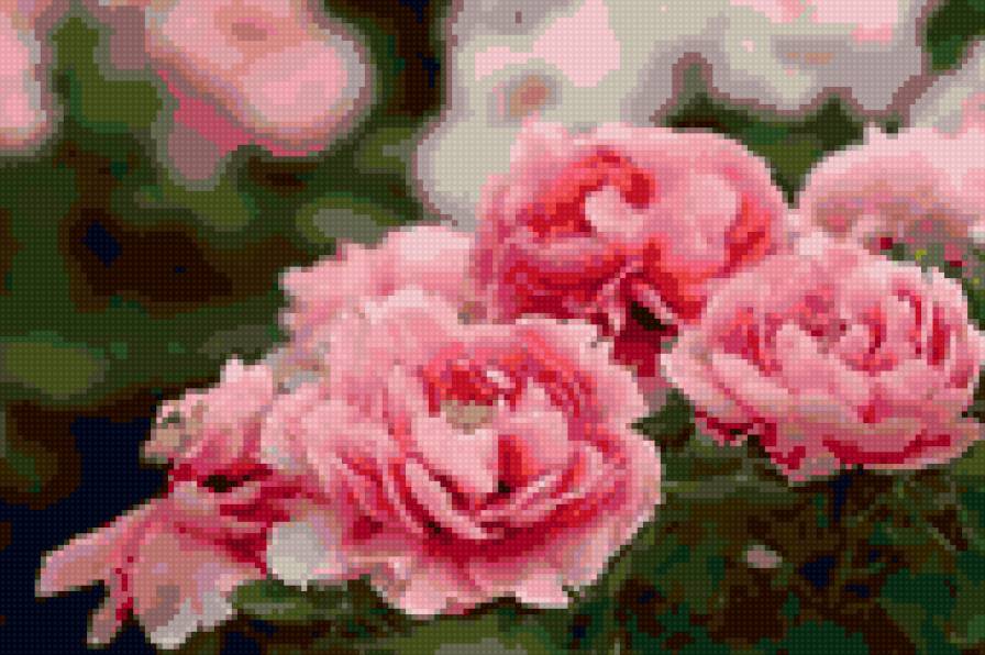 Пионы Ляояна - предпросмотр