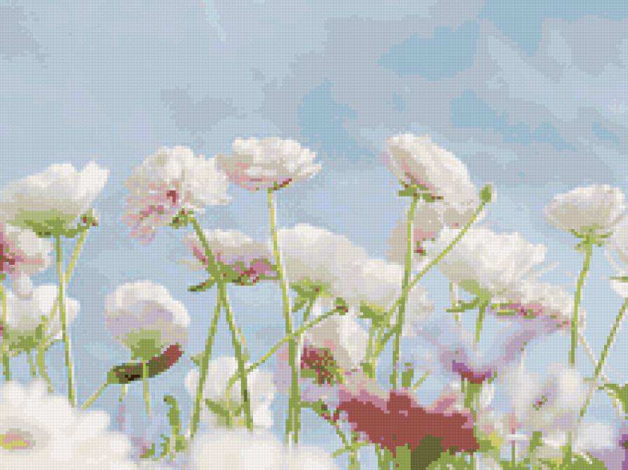 Цветы - цветы - предпросмотр