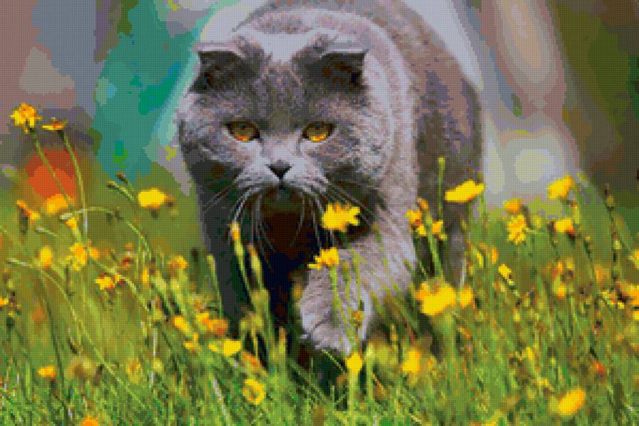 На прогулке - открытка, цветы, кот - предпросмотр