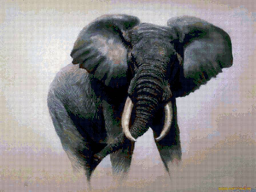 слон - слон - предпросмотр