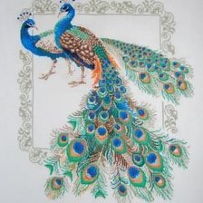 Схема вышивки «pavlini»