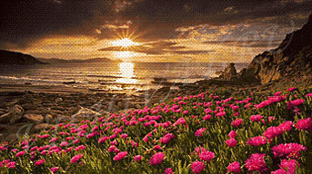 красота - цветы, природа - оригинал