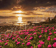 Схема вышивки «красота»