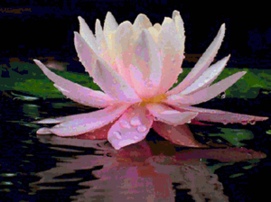 №83405 - цветы - предпросмотр