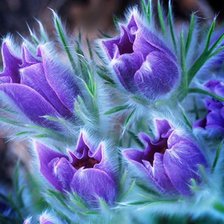 Схема вышивки «№83415»