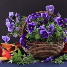 Схема вышивки «№83443»