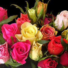 Схема вышивки «Розы»