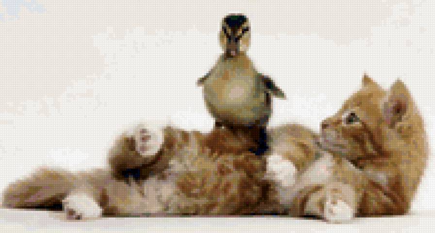 дружба - предпросмотр