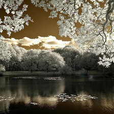 Схема вышивки «№83533»