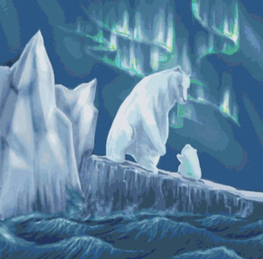 Северное сияние - животные, медведи, зима, пейзаж, океан - предпросмотр