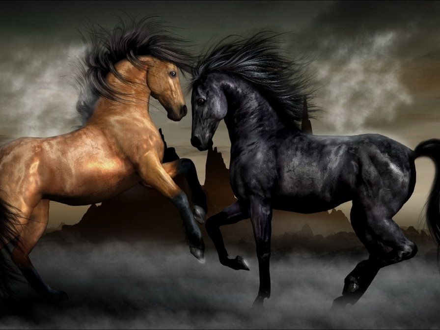 кони 5 - животные, кони - оригинал