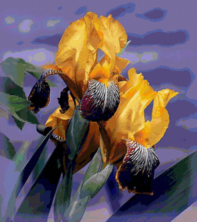 Цветы - предпросмотр