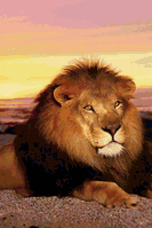 царь зверей - животные - предпросмотр