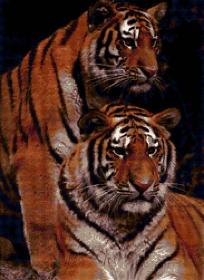 тигры - животные, тигры - предпросмотр