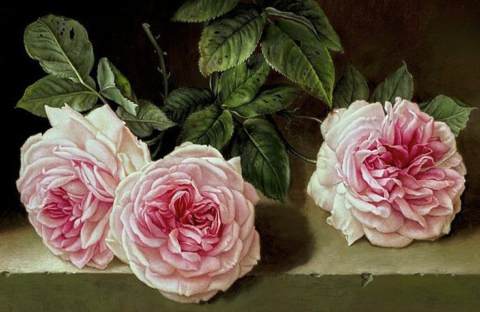 Три розы - цветы - оригинал