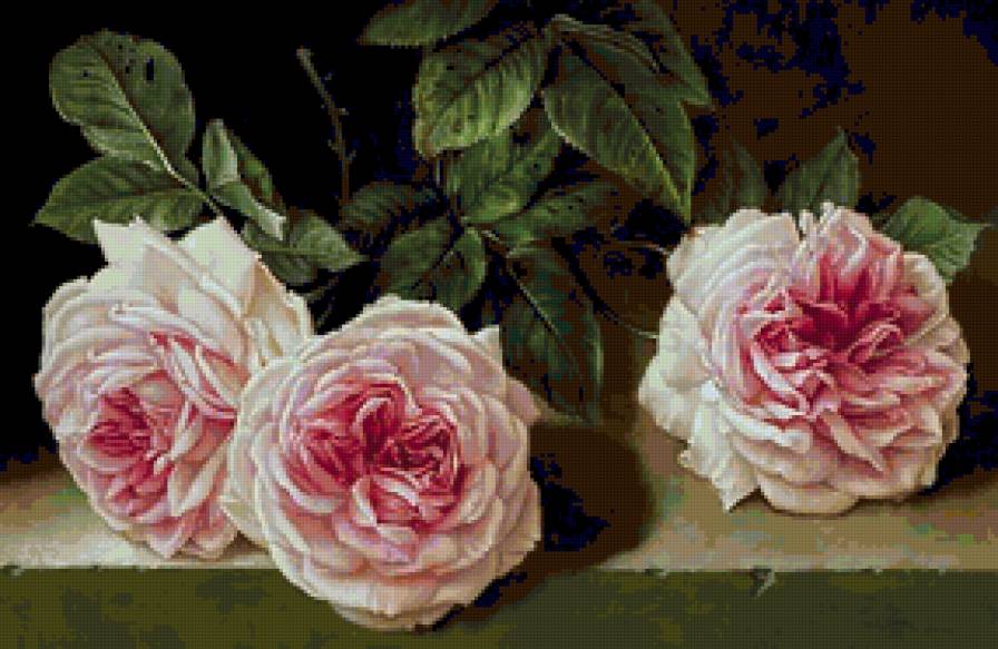 Три розы - цветы - предпросмотр