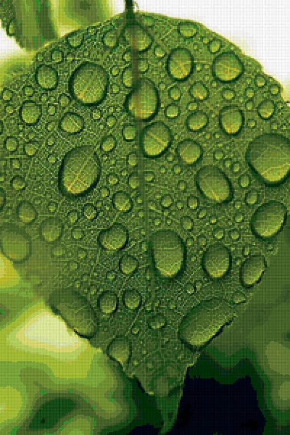 листочек - личсточек - предпросмотр