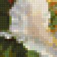 Предпросмотр схемы вышивки «№84201»