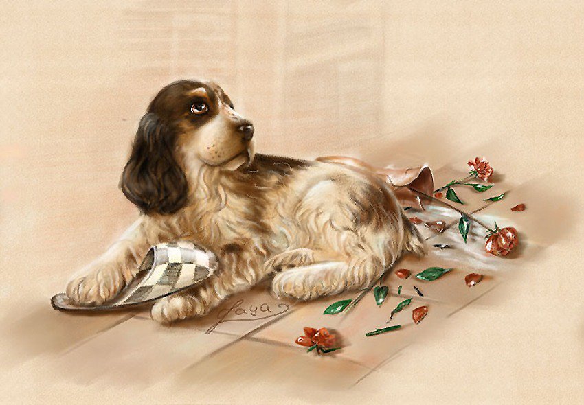 заждался - собака - оригинал