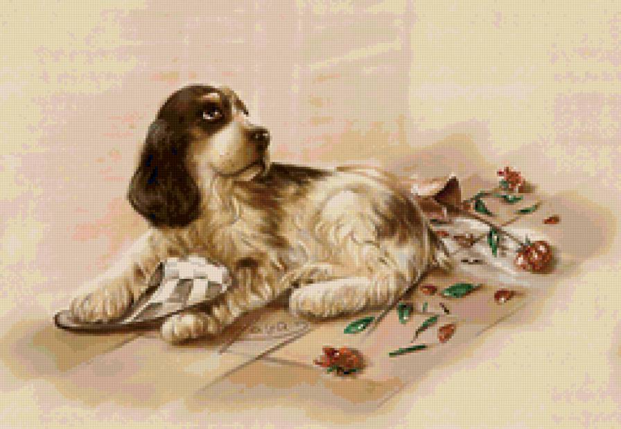 заждался - собака - предпросмотр