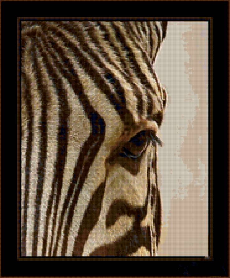 №84575 - животные - предпросмотр