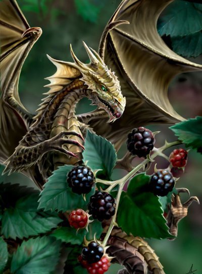 Любитель поесть ягодки - фэнтези, животные, анна стоукс, миф, магия, драконы - оригинал