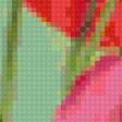 Предпросмотр схемы вышивки «маки» (№84719)