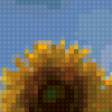 Предпросмотр схемы вышивки «подсолнухи» (№84728)