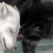 Нарисованные волки